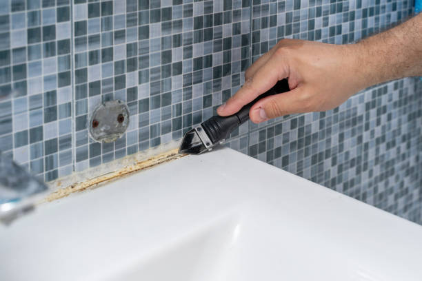 Best Mold Damage Repair  in Indian River Estates, FL